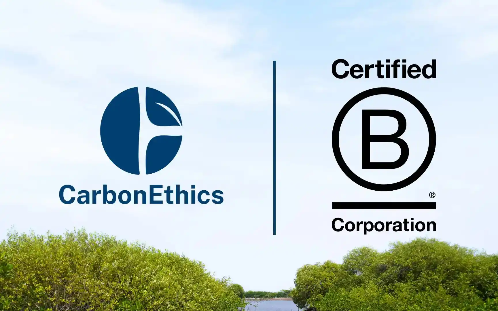 CarbonEthics Impact landscape